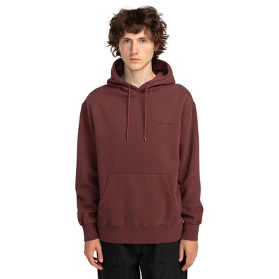 Sweat à capuche LOWCASE PIGMENT PO ELEMENT
