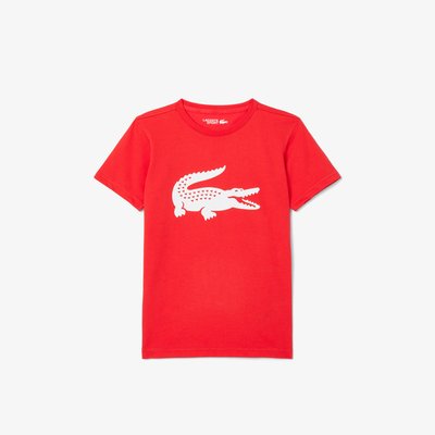 T-shirt manches courtes LACOSTE