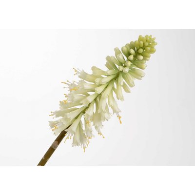 Fleur artificielle Kniphofia jade 71 cm blanc AMADEUS