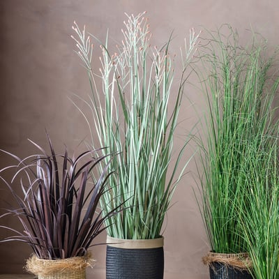 155cm Artificial Potted Grass ÉDITÉ