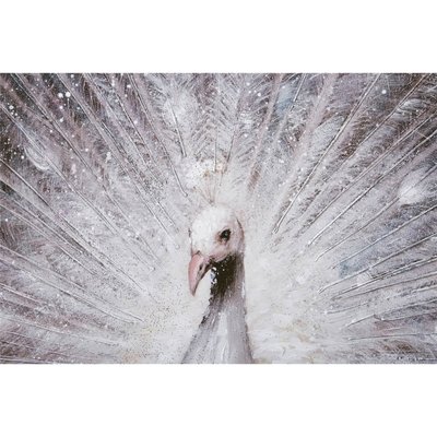 tableau paon royal argenté sur toile naturelle décor mural élégant RECOLLECTION
