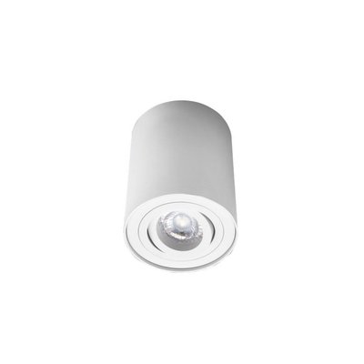 Spot Cylindrique Blanc Orientable Essence MILLUMINE
