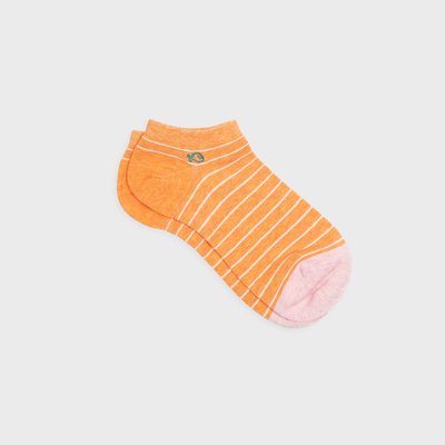 Socquettes en coton peigné A RAYURES FINES BILLYBELT