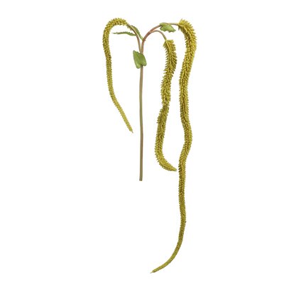 Tige de setaria tombante artificielle H114 SIA DECO