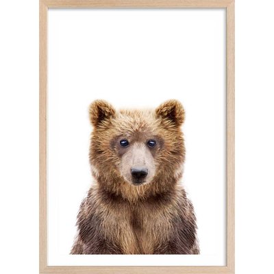 Affiche enfant bébé ours HEXOA