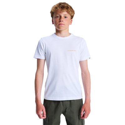 T-shirt à manches courtes EV DESERT WAVES QUIKSILVER