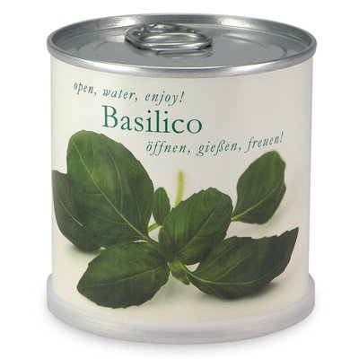 Basilic à faire pousser en boite MAC FLOWERS