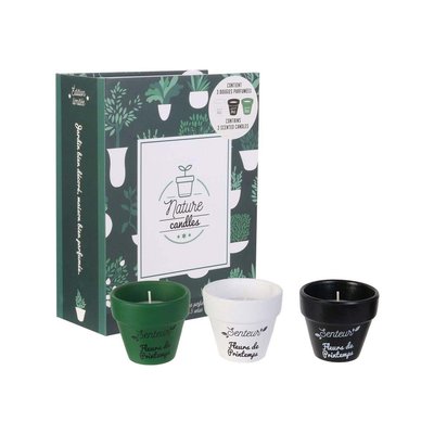Coffret 3 bougies Nature candles CMP