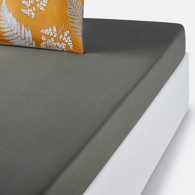 Fixleintuch Fougère, Baumwollperkal LA REDOUTE INTERIEURS
