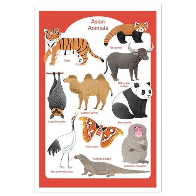 Affiche enfant animaux d' asie HEXOA