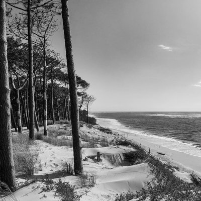 Tableau Sur Toile Bassin D'arcachon Noir Et Blanc PLAGE CEANOTHE