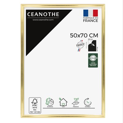 Cadre Photo 50x70 Cm Doré Résine Recyclée JULIA CEANOTHE