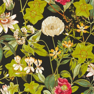 Passiflora Wallpaper CLARKE & CLARKE