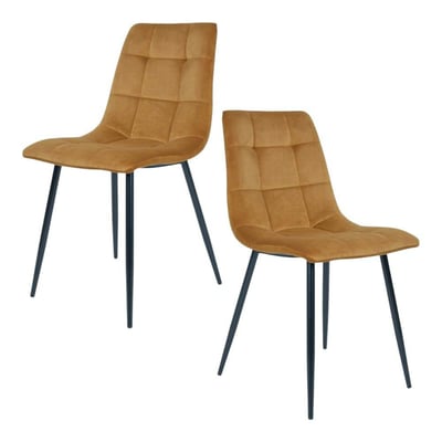 Chaise de salle à manger (lot de 2) TARAZ PIER IMPORT