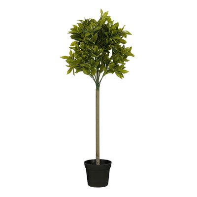Plante artificielle LAUREL MICA DECORATIONS