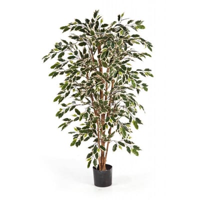 Ficus Nitida artificiel en pot tronc naturel ARTIFICIELLES