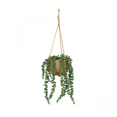 Succulente artificielle suspension 60cm LIGNE DECO