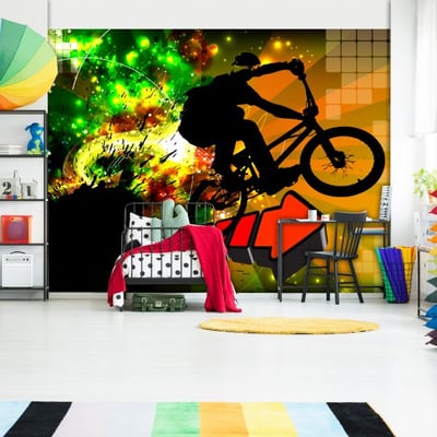 Papier peint intissé panoramique Street art Bicycle Tricks EDEN