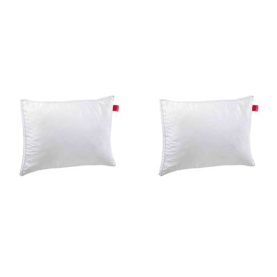 Oreiller ferme ALOE VERA (lot de 2) EPEDA