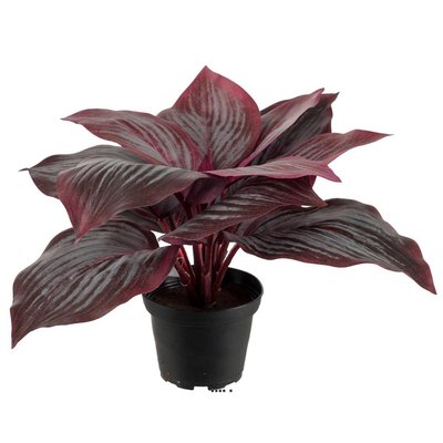 Hosta artificiel en pot H 20 cm D 30 cm Large ARTIFICIELLES
