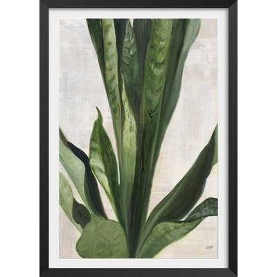Poster Sanseveria aquarelle HEXOA