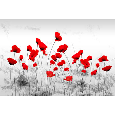 Tableau design coquelicots gris HEXOA