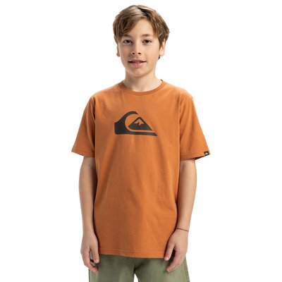 T-shirt manches courtes QUIKSILVER