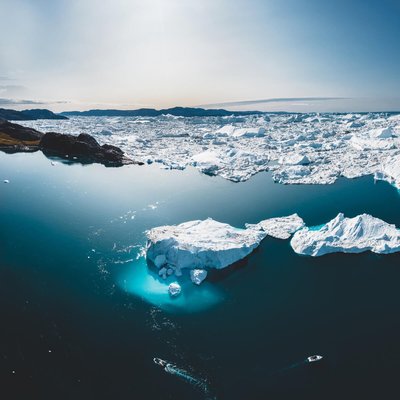 Tableau Mural Glacier HIVERNAL CEANOTHE