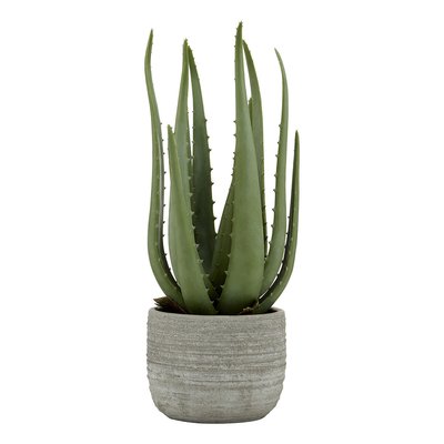 35cm Artificial Aloe Vera with Cement Pot SO'HOME