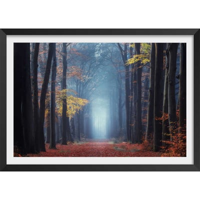 Affiche ""Lumière douce d'automne"" HEXOA