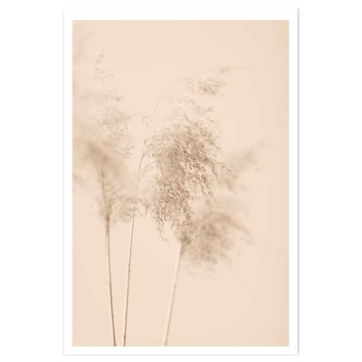 Affiche  des champs sauvages HEXOA