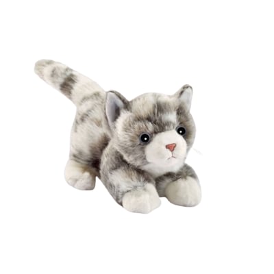 chaton joueur ANIMA