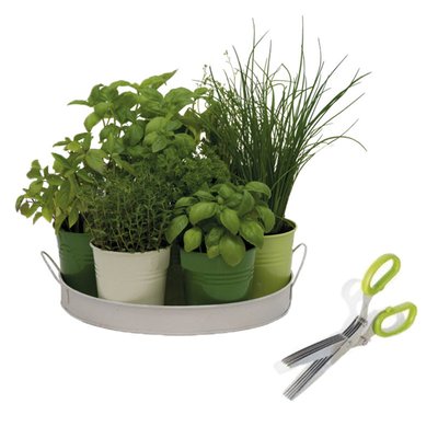 Kit herbes aromatiques en cuisine PRET A JARDINER