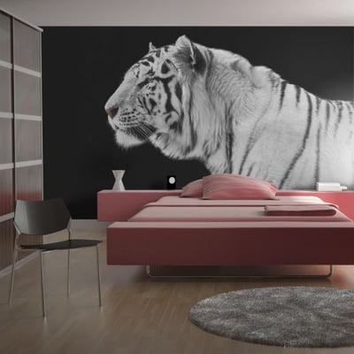 Papier peint intissé panoramique Animaux Tigre blanc EDEN
