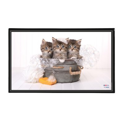 Sous main de bureau décoratif thème CHATONS VIQUEL