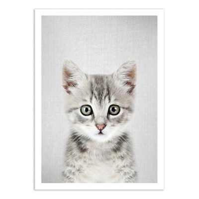 Affiche d’art et cadre noir 50 x 70 cm - Kitten - Gal Design WALL EDITIONS