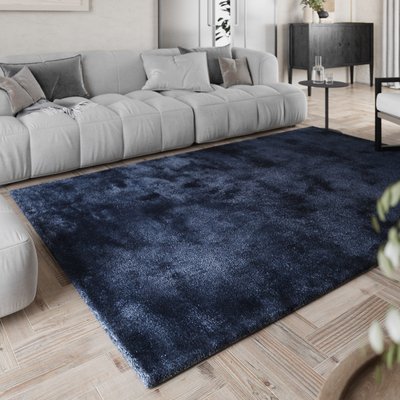 Tapis à poils longs doux pour salon ,  PISA HOMIE LIVING