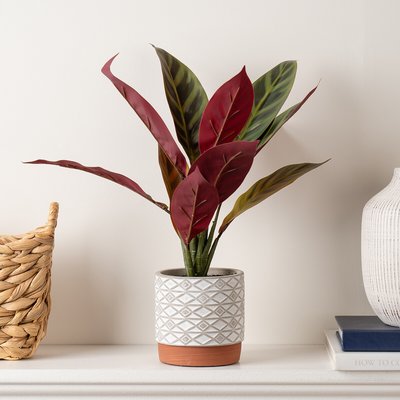 39cm Artificial Real Touch Maranta Plant in Ceramic Pot SO'HOME