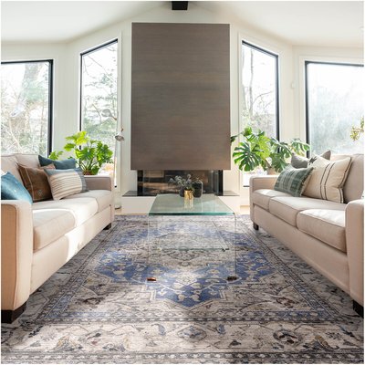Sophisticated Vintage Medallion Rug SO'HOME