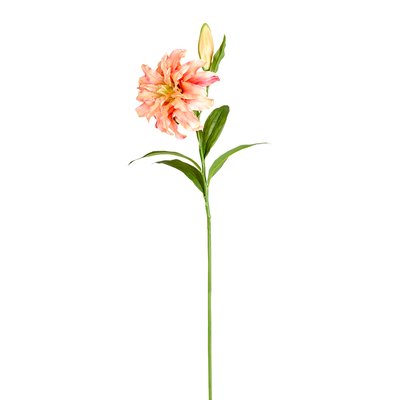 Tige de lys oriental double artificielle H80 SIA DECO