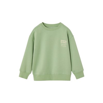 Sweat couleur motif poitrine Basics VERTBAUDET