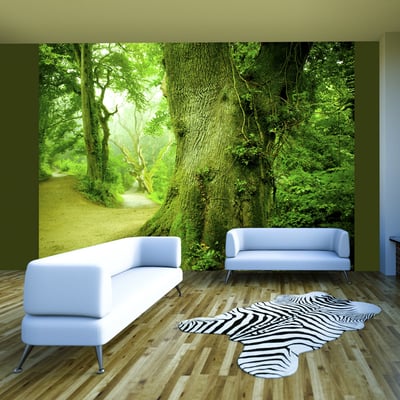 Papier peint intissé panoramique Paysage Chemin forestier EDEN