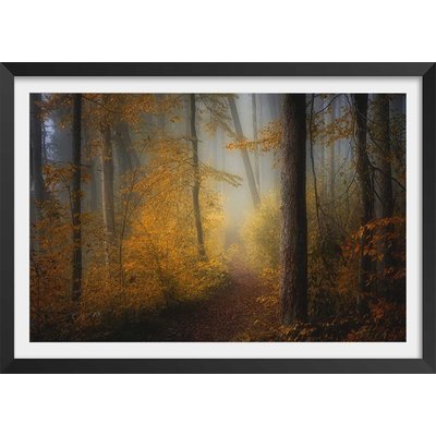 Affiche l'arbre et l'automne rouge HEXOA
