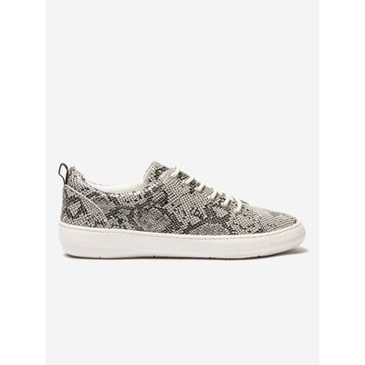 Baskets THIMORA TBS