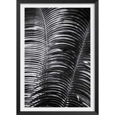 Poster jungle Sun palm HEXOA