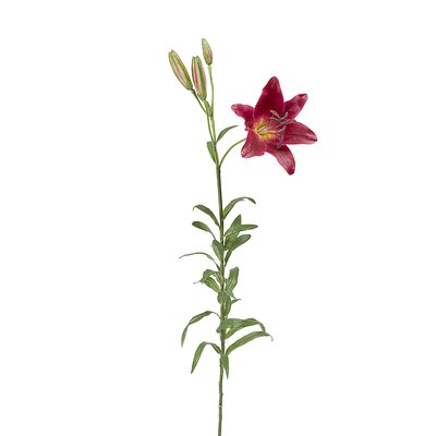 Tige de lily rubrum artificielle H98 SIA DECO