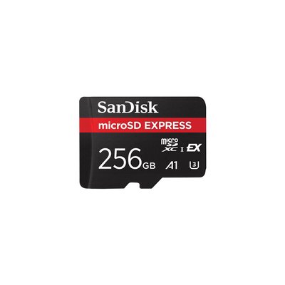 Carte Micro SD 256Go Express SANDISK