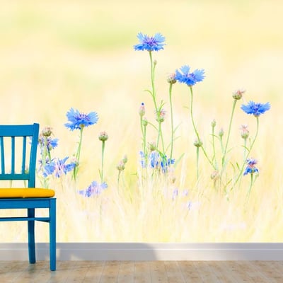 Papier peint intissé panoramique Fleurs Bleuets EDEN