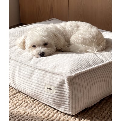Lit pour chien en velours côtelé, CUADRA CAFIDE