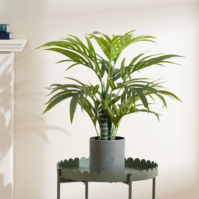 60cm Palm Tree SO'HOME